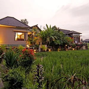 Dupa Sri Wedari Holiday park