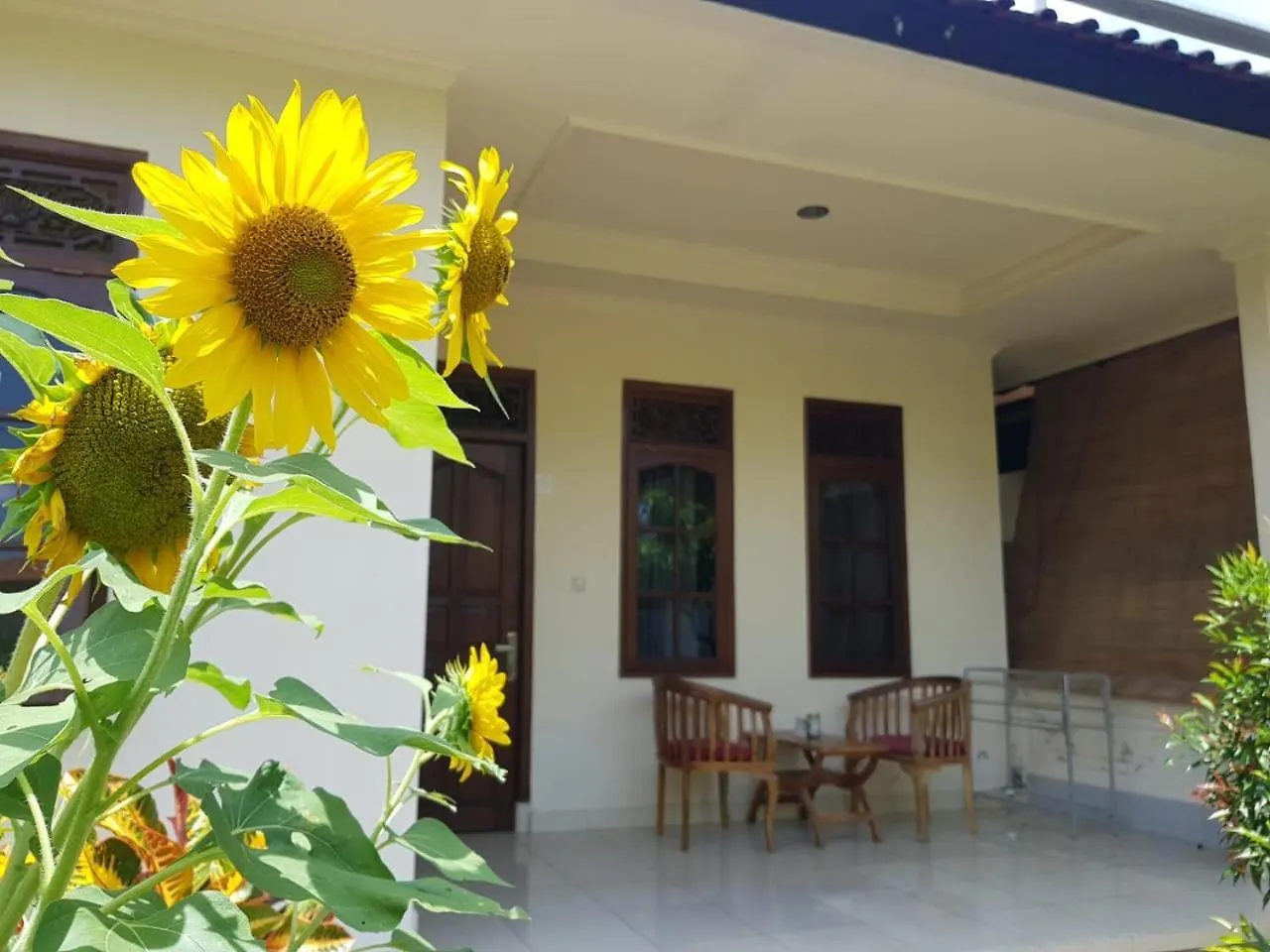 Gasthof Pondok Gusti Ubud Homestay Redpartner Indonesien